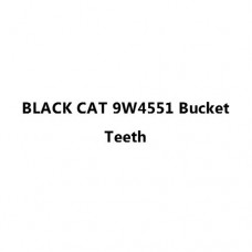 BLANK CAT 9W4551 Bucket Teeth
