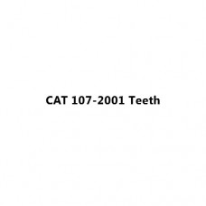 CAT 107-2001 Teeth